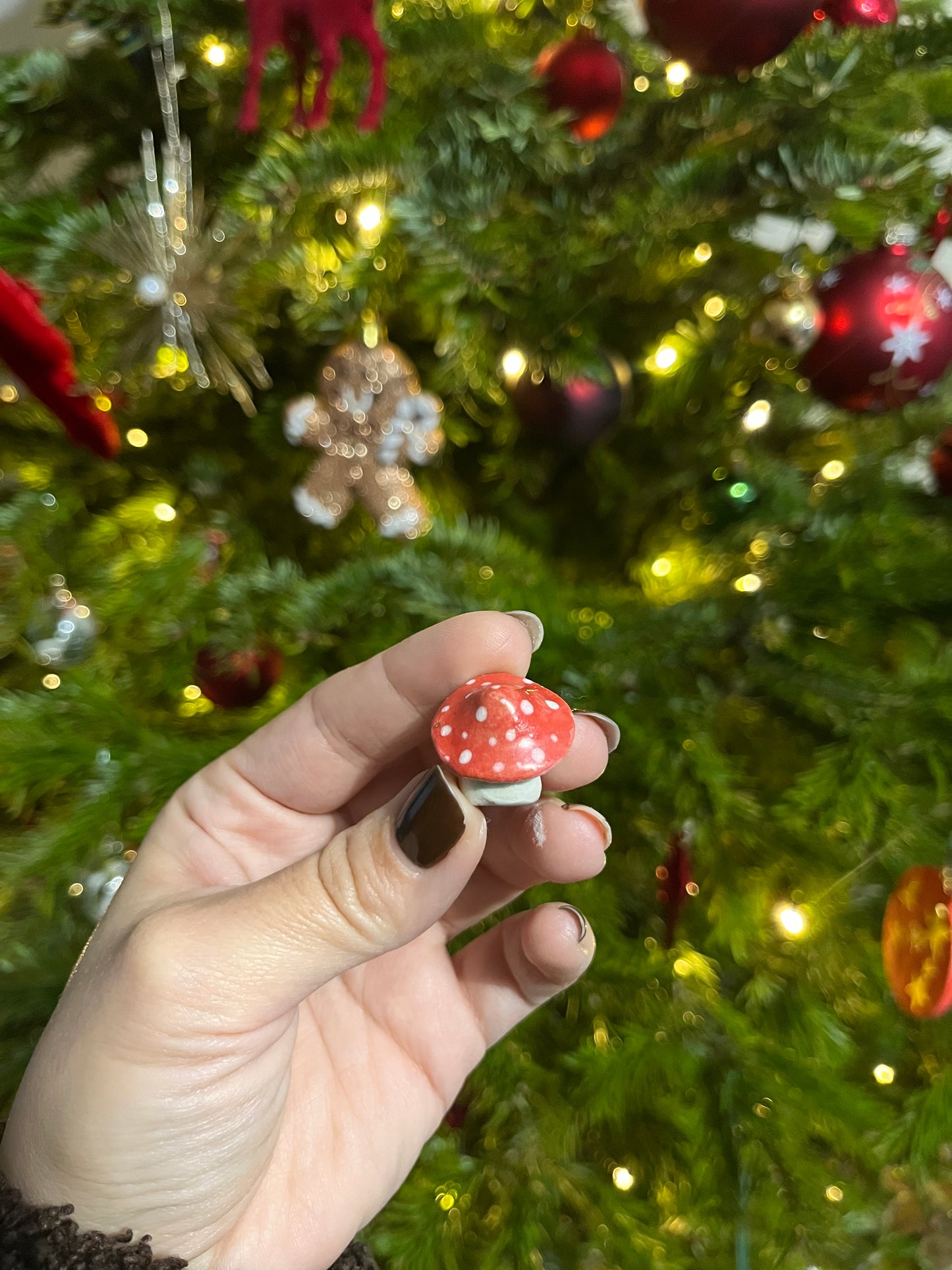 Les petits Choupignons🍄