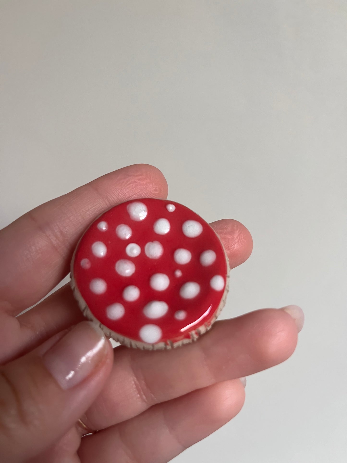 Champignons d'apaisements🍄