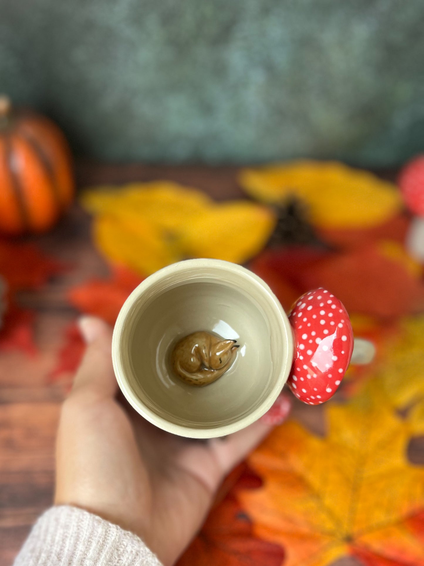 Un écureuil si repose 🐿️