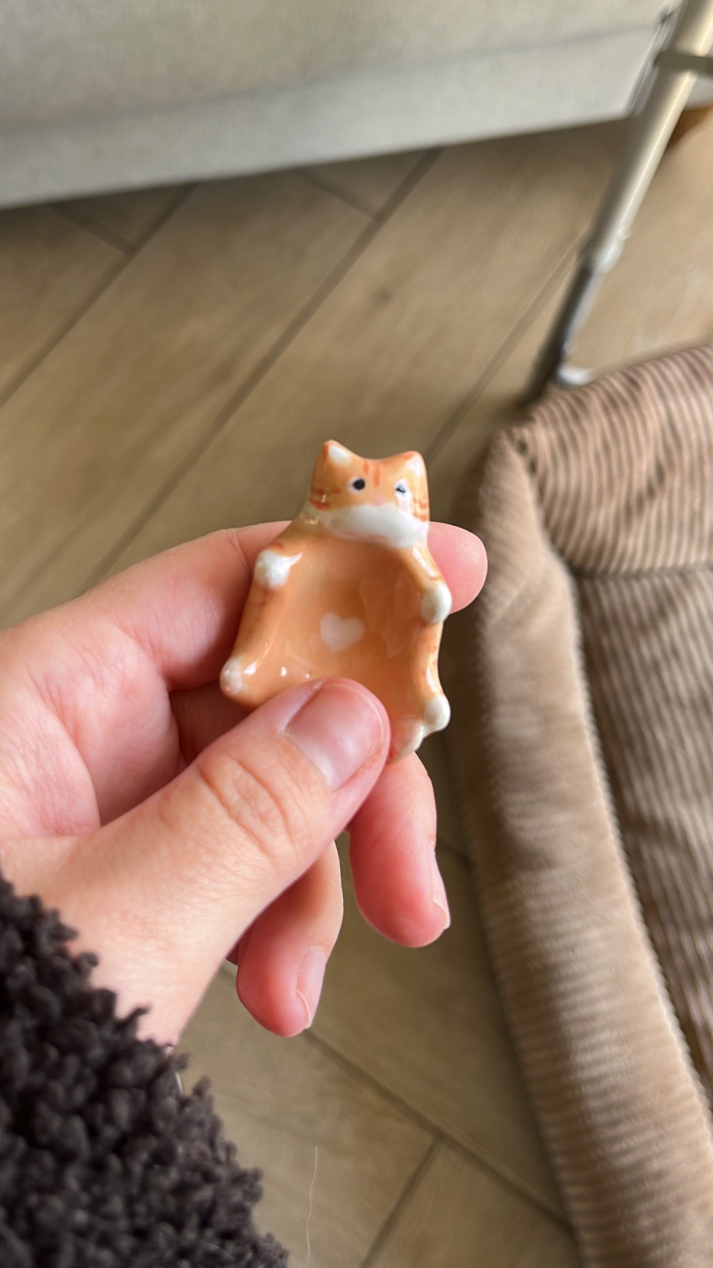 Calinou chat 🐈