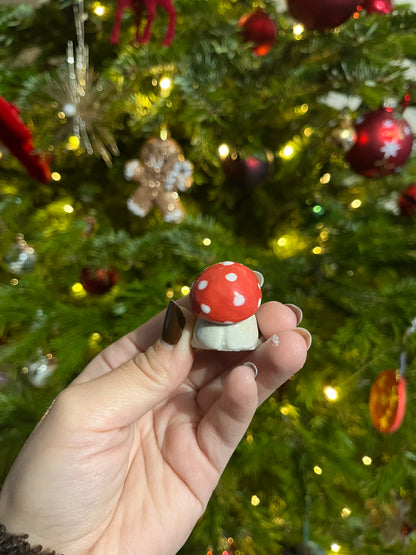 Les petits Choupignons🍄