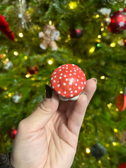 Les petits Choupignons🍄