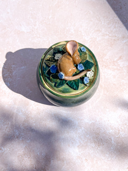 Boîte petite souris 🐭