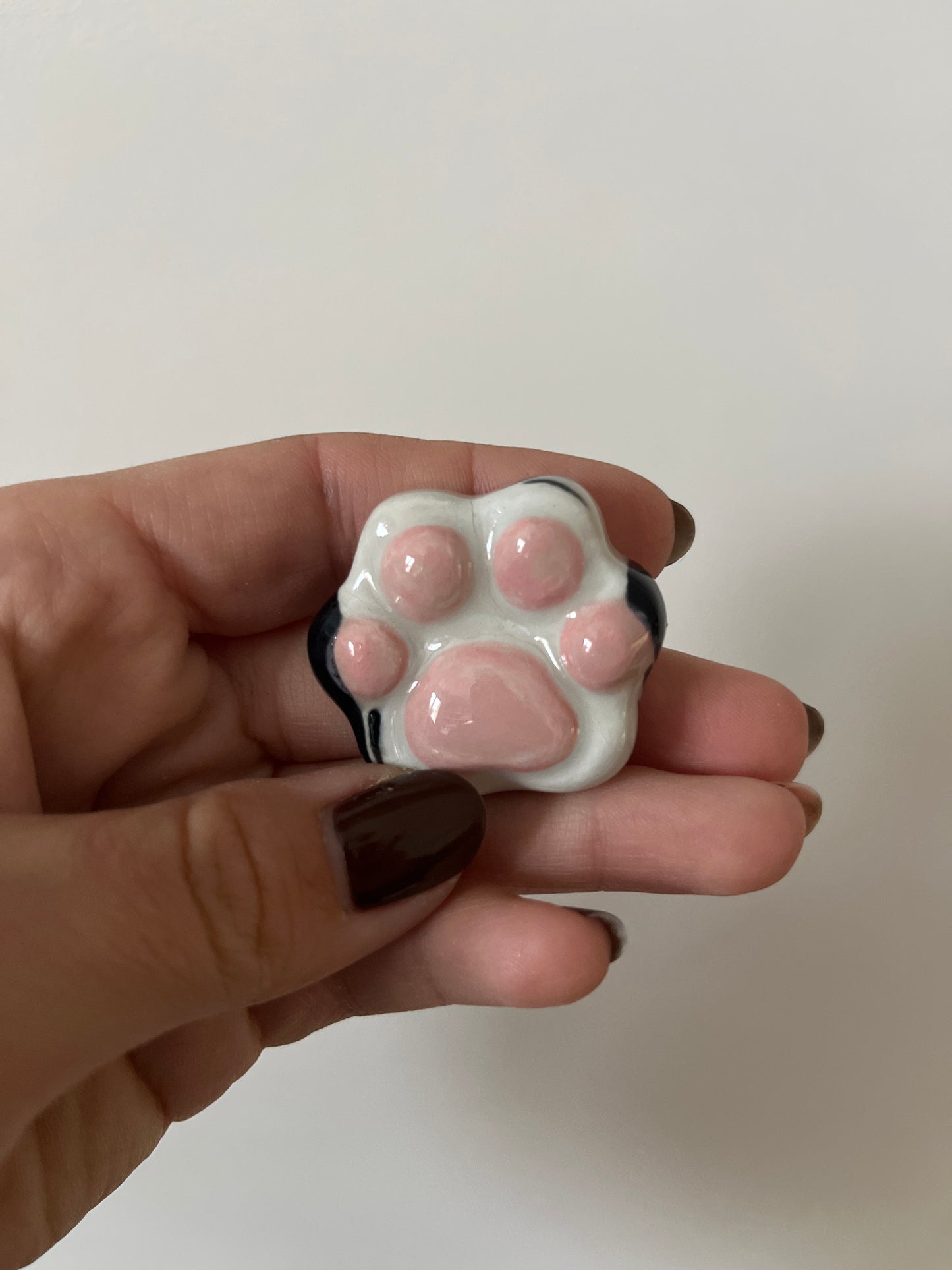 Patoune d'apaisement 🐾🐈