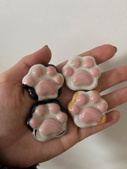 Patoune d'apaisement 🐾🐈